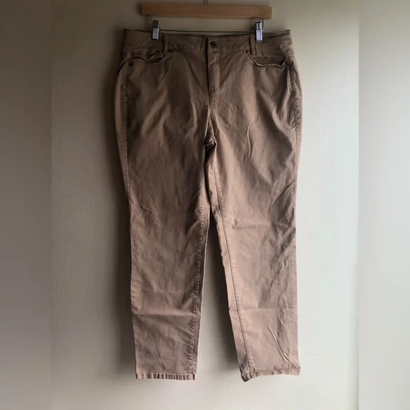 J.Jill Straight Slim Boyfriend Brown Pants Size 14 - Picture 1 of 9